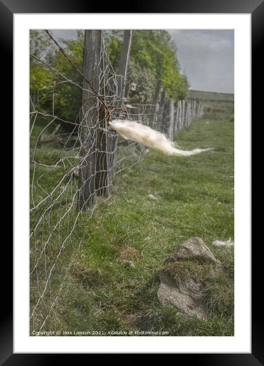 Fleece on a fence in Coverdale Framed Mounted Print by Jaxx Lawson