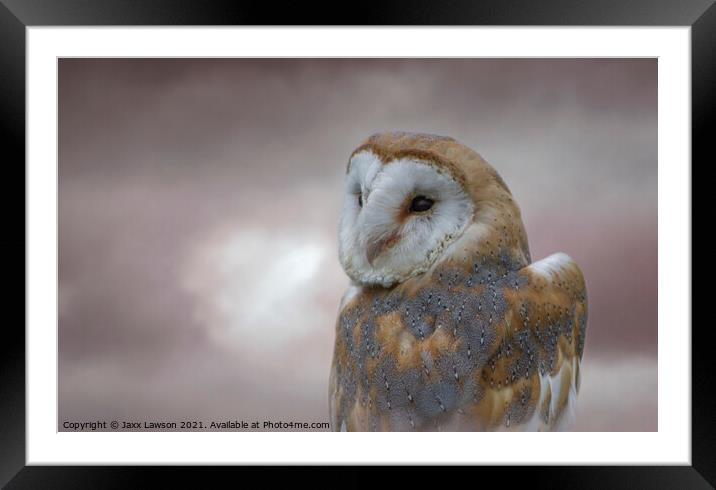 Barn Owl Framed Mounted Print by Jaxx Lawson