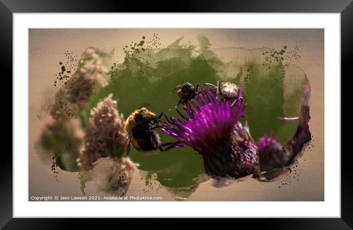 The Thistle Cafe Framed Mounted Print by Jaxx Lawson
