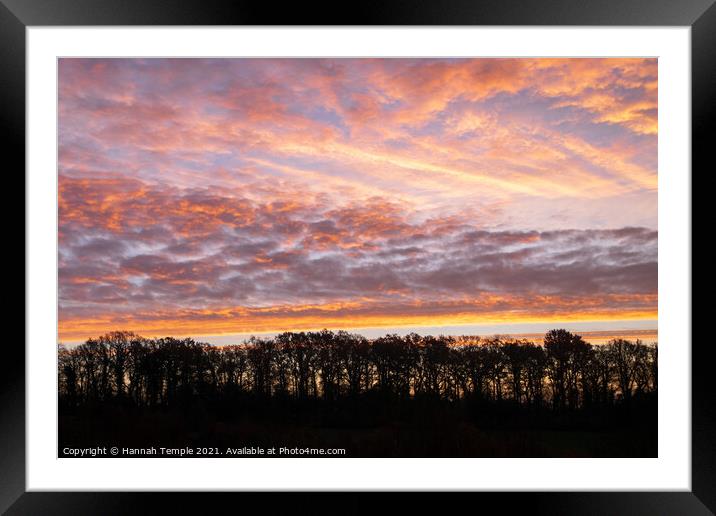Sunrise above the trees  Framed Mounted Print by Hannah Temple