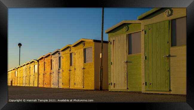 Golden Sunlight on Beach Huts Framed Print by Hannah Temple