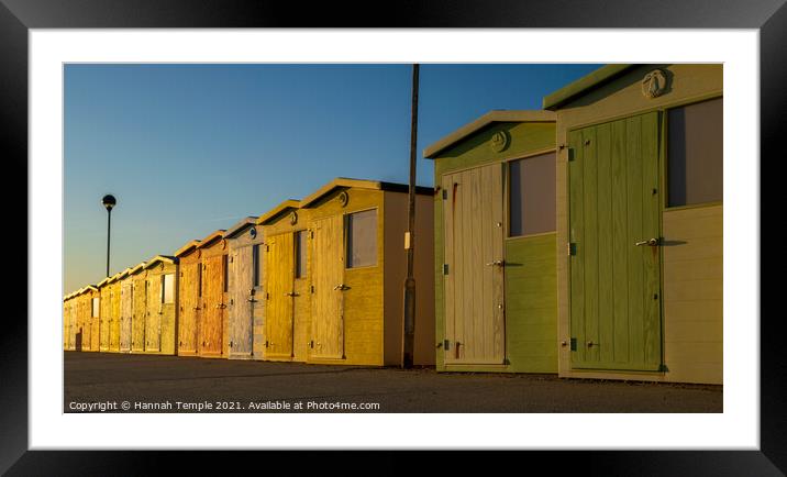 Golden Sunlight on Beach Huts Framed Mounted Print by Hannah Temple