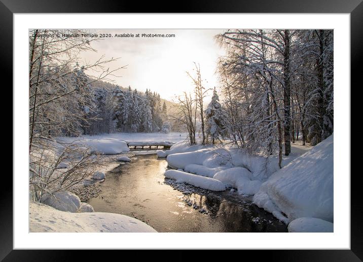 Golden Sunlight on the River  Framed Mounted Print by Hannah Temple