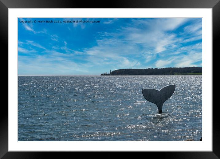 Whale Tail sculpture in Faaborg marina harbor, Denmark Framed Mounted Print by Frank Bach