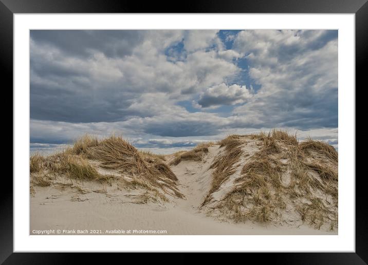 Dunes on Skallingen at the North Sea in rural western Denmark Framed Mounted Print by Frank Bach