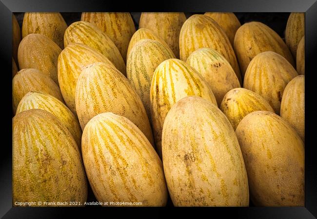 Closeup shot of yellow melons Framed Print by Frank Bach