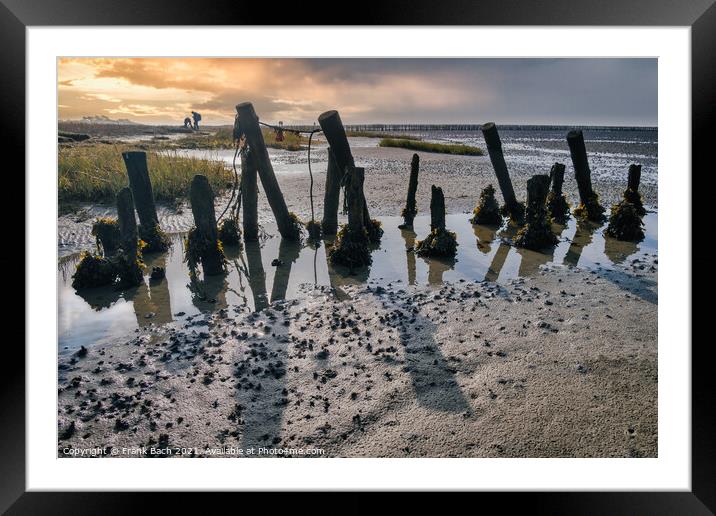 Poles on the beach on Mandoe in the wadden sea, Esbjerg Denmark Framed Mounted Print by Frank Bach