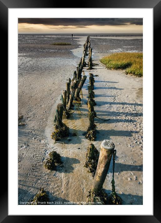 Poles on the beach on Mandoe in the wadden sea, Esbjerg Denmark Framed Mounted Print by Frank Bach