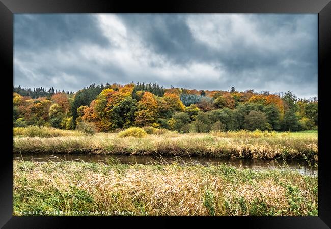 Autumn warm colored leaves, fields and wetlands near Vejle city  Framed Print by Frank Bach