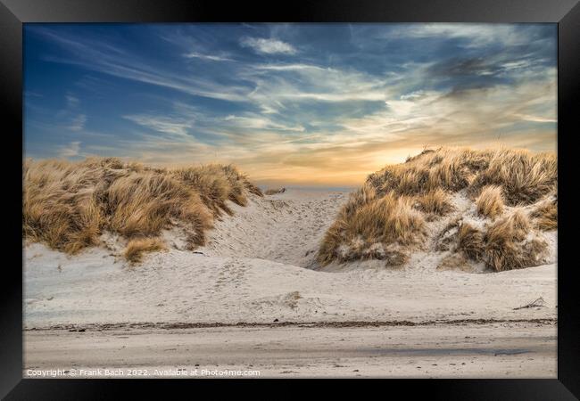 Dunes at the North Sea coast at Blaavand Beach, Denmark Framed Print by Frank Bach