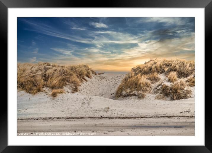 Dunes at the North Sea coast at Blaavand Beach, Denmark Framed Mounted Print by Frank Bach