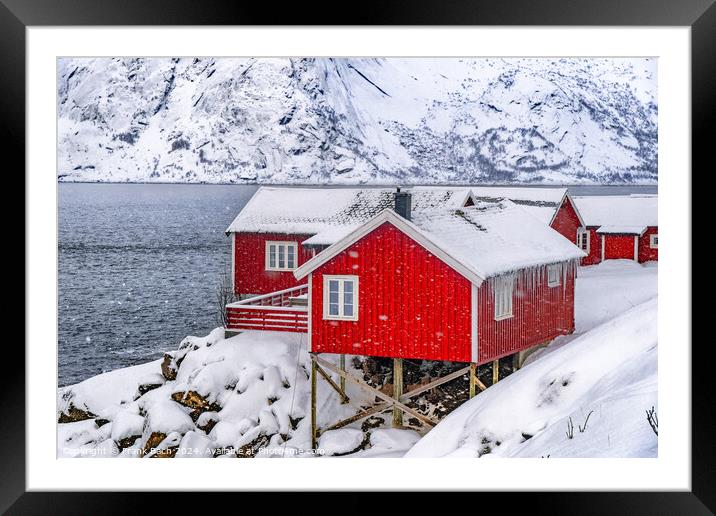 Red rorbu lodges in Hamnoy on Lofoten, Norway Framed Mounted Print by Frank Bach