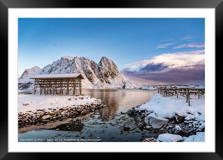 Cod drying racks in Hamnoy on Lofoten, Norway Framed Mounted Print by Frank Bach