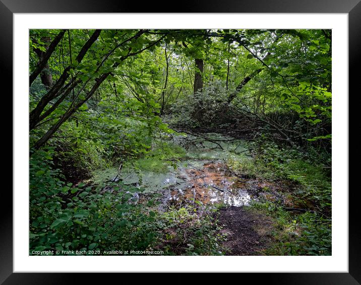 Natural source spring well in Padborg forest at Gendarmstien, Denmark Framed Mounted Print by Frank Bach