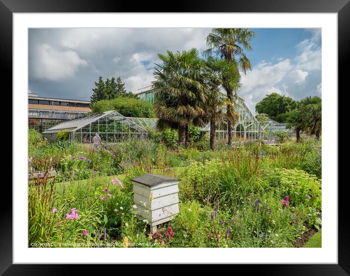 Cambridge botanic garden greenhouses, England Framed Mounted Print by Frank Bach