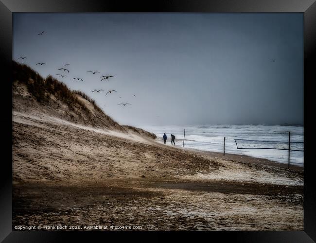 Henne beach in Jutland with benches on a stormy day, Denmark Framed Print by Frank Bach
