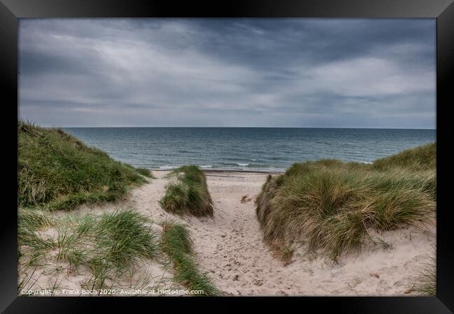 Dunes at the North Sea Coast in Jammerbugt, Denmark Framed Print by Frank Bach