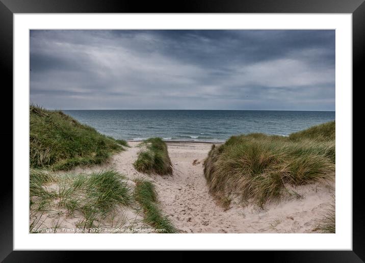 Dunes at the North Sea Coast in Jammerbugt, Denmark Framed Mounted Print by Frank Bach