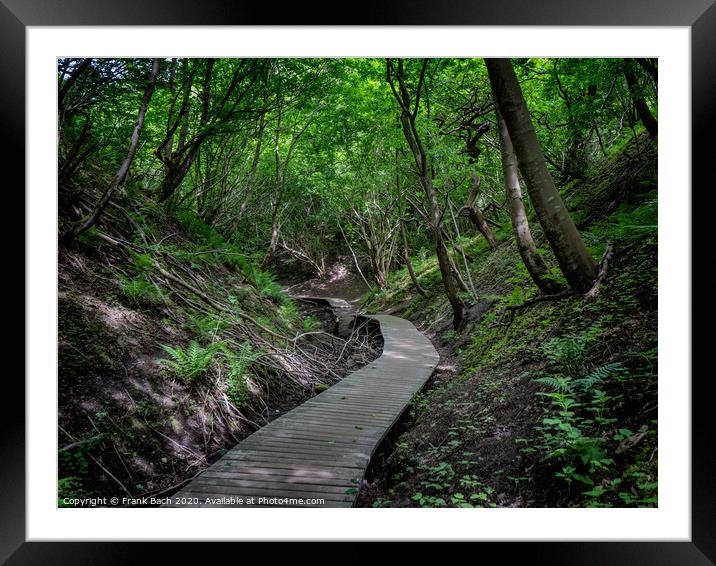 Fosdalen unique iceage tunnel valley in western Denmark Framed Mounted Print by Frank Bach