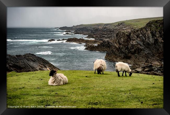 Achill head in county Mayo on the west coast of Ireland Framed Print by Frank Bach