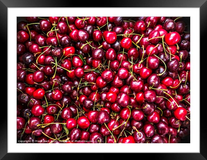 Fresh cherries Framed Mounted Print by Frank Bach