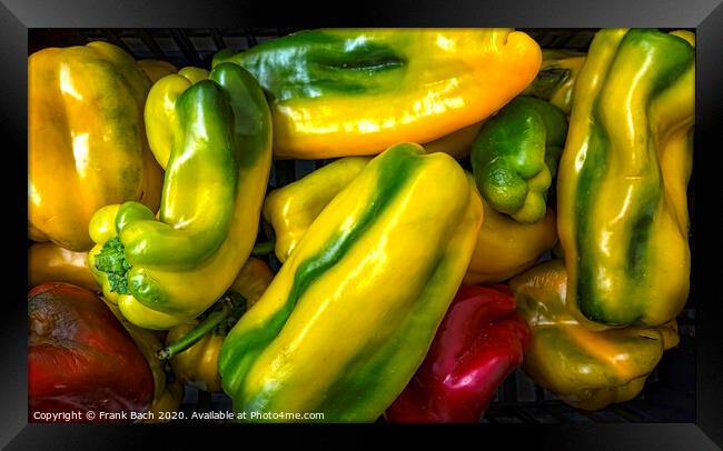 Colorful peppers, natural background Framed Print by Frank Bach