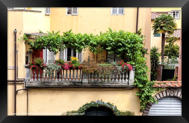 Lucca, Tuscany, Italy. Streets Framed Print by Frank Bach