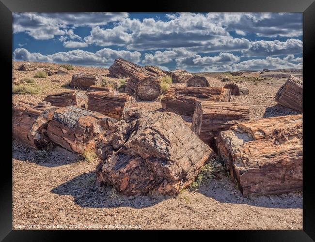 Petrified Forest near Holbrook, Arizona  Framed Print by Frank Bach