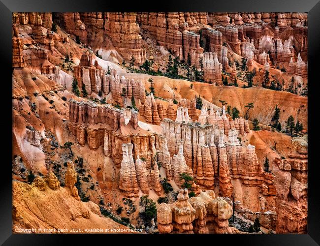 Bryce Canyon hoodoos, Utah Framed Print by Frank Bach