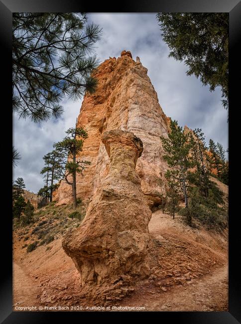 Bryce Canyon hoodoos, Utah Framed Print by Frank Bach