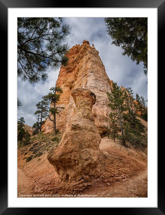 Bryce Canyon hoodoos, Utah Framed Mounted Print by Frank Bach