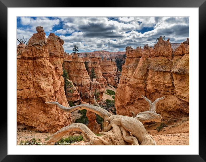 Bryce Canyon hoodoos Navajo Trail, Utah Framed Mounted Print by Frank Bach