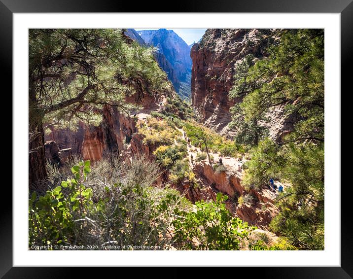 Zion National Park from the track to Angels landing, Utah Framed Mounted Print by Frank Bach