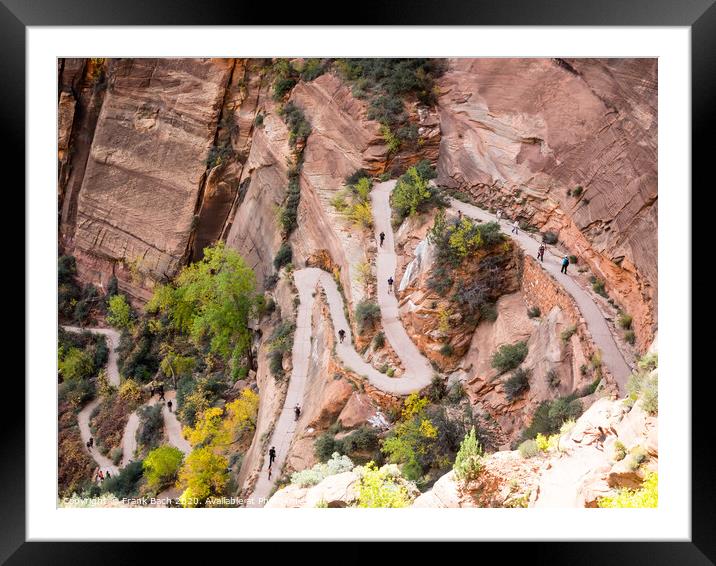 Walter's wiggles Path to Angels Landing in Zion national park Framed Mounted Print by Frank Bach