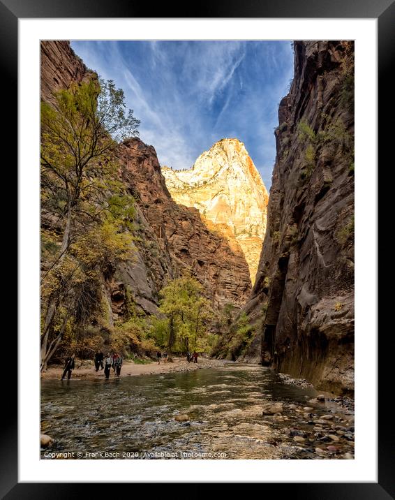 Entrance to the Narrows Zion national park, Utah Framed Mounted Print by Frank Bach