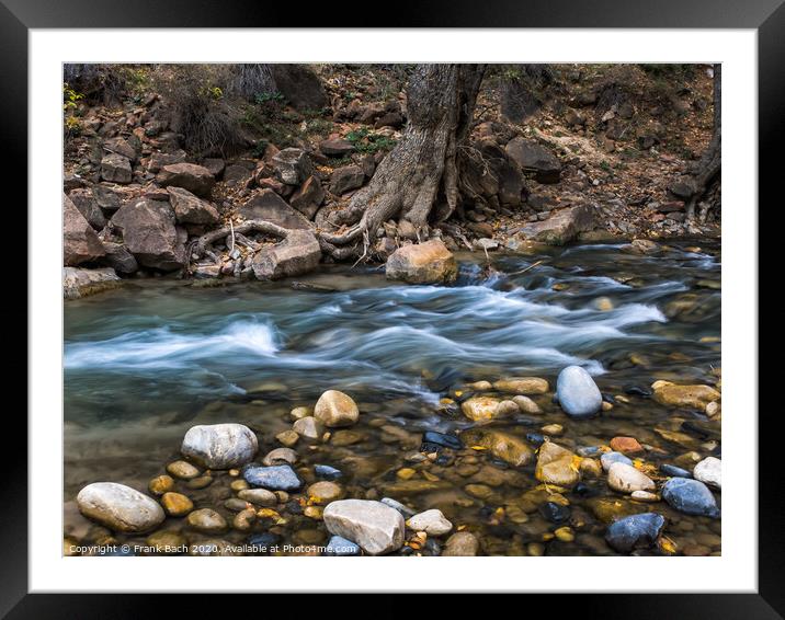 Creek in the Narrows Zion national park, Utah Framed Mounted Print by Frank Bach
