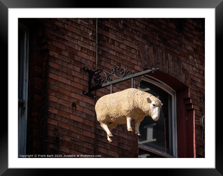 Butchers lamb sign in the streets of Dublin, Ireland Framed Mounted Print by Frank Bach