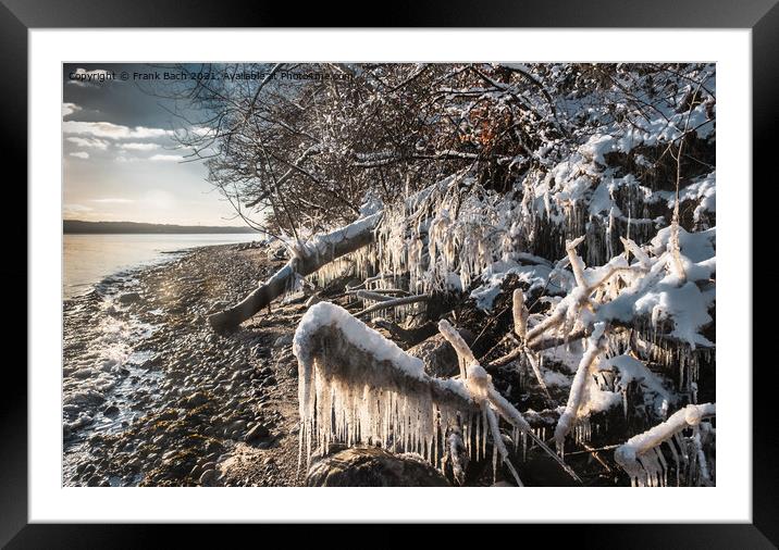 Snow and icicles at the fjord near Vejle in Dennmrk Framed Mounted Print by Frank Bach