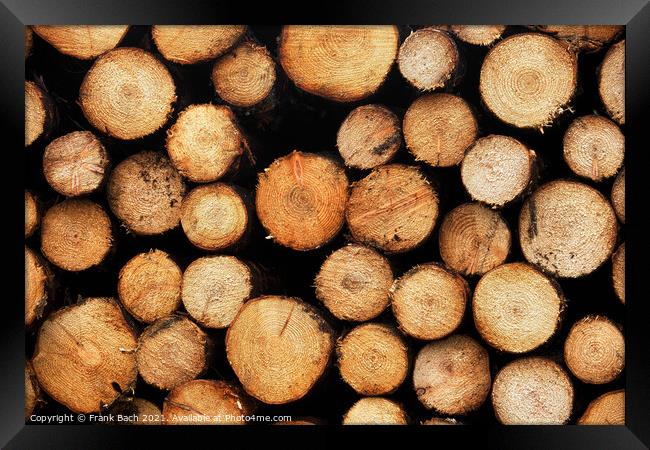 Piles heaps of cutted wood, Denmark Framed Print by Frank Bach