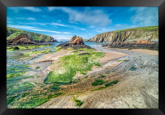 Peerie Spiggie, Shetland Framed Print by Richard Ashbee