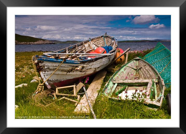 Old decaying fishing boats in Shetland Framed Mounted Print by Richard Ashbee
