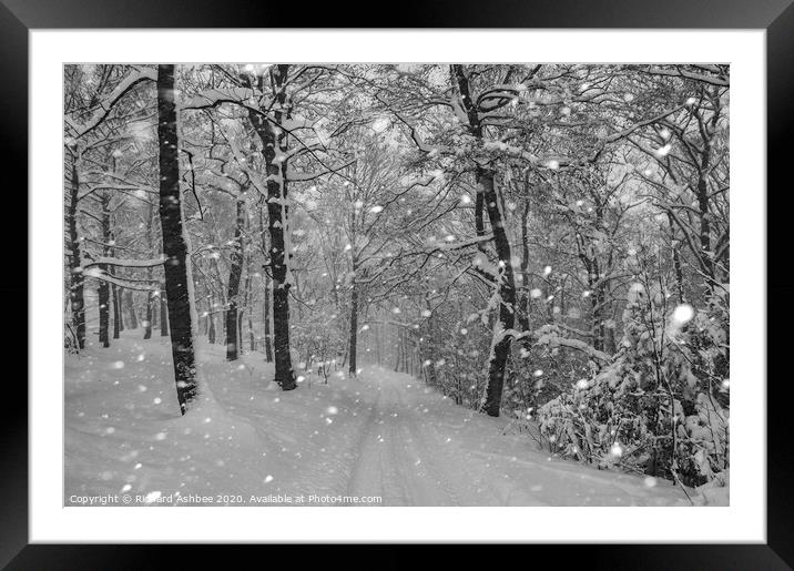 Perfect Christmas as Snow falls in a Sheffield woo Framed Mounted Print by Richard Ashbee