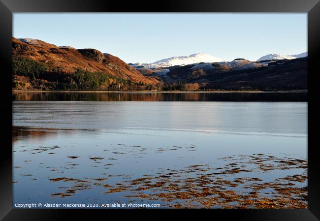 Looking across to Attadale from Lochcarron Framed Print by Alasdair Mackenzie