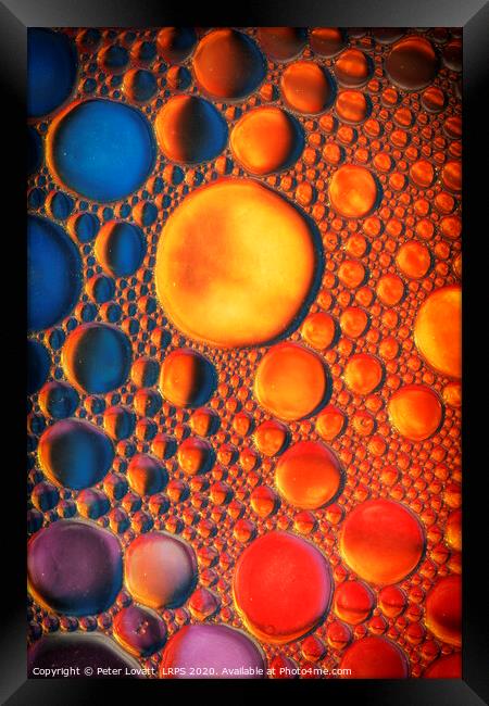 Oil Droplets on Water Framed Print by Peter Lovatt  LRPS