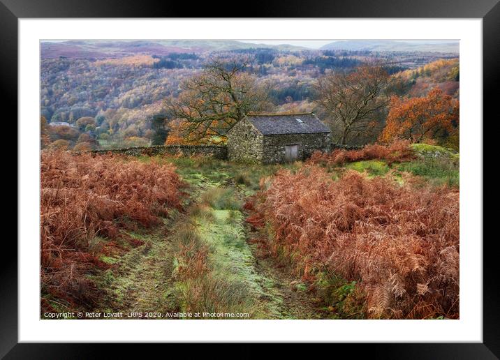 Duddon Valley, Lake District Framed Mounted Print by Peter Lovatt  LRPS