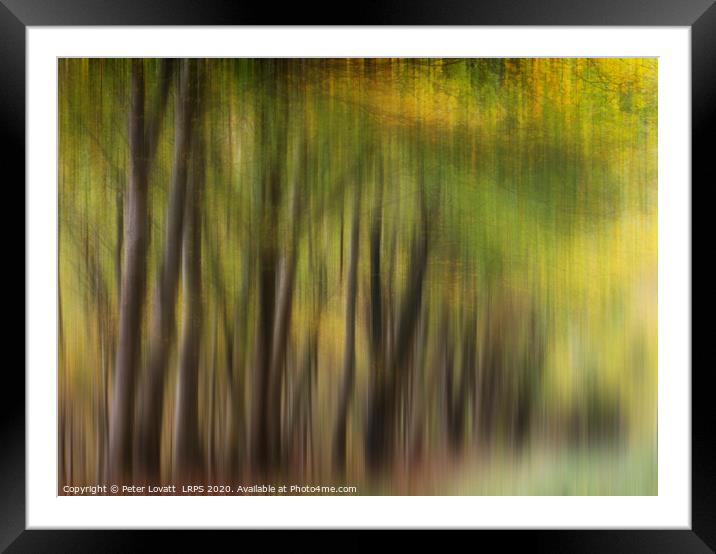 Autumn Trees Framed Mounted Print by Peter Lovatt  LRPS