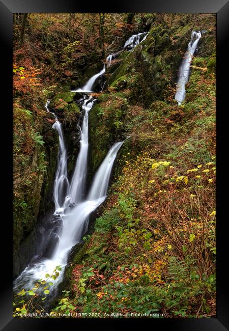 Stock Ghyll Force in Autumn Framed Print by Peter Lovatt  LRPS