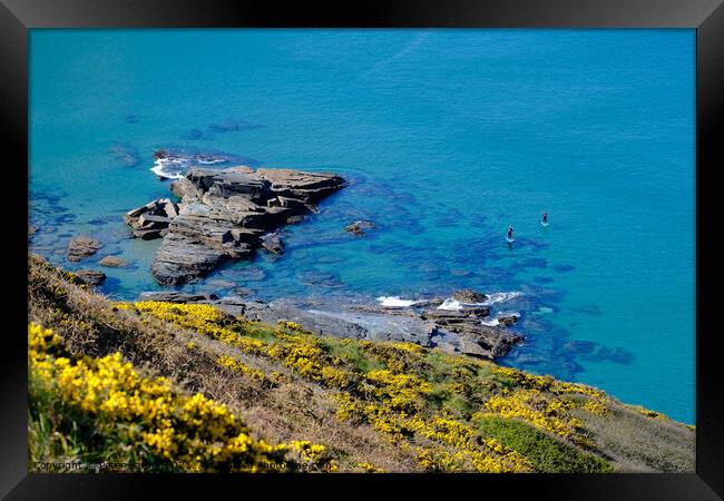 Paddle boarders framed by out of focus gorse flowe Framed Print by Peter Barber