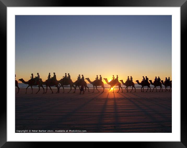 Broome Australia camel ride Framed Mounted Print by Peter Barber