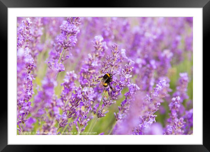 Abstract texture Framed Mounted Print by Peter Barber